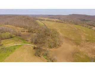 Property photo 19 - REAL ESTATE AUCTION - 1,013 ACRES IN 21 TRACTS IN MARTIN COUNTY, INDIANA